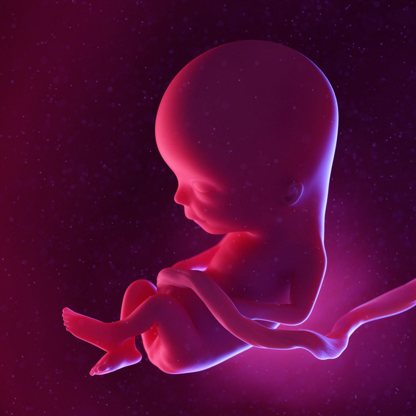 13 Weeks Pregnant