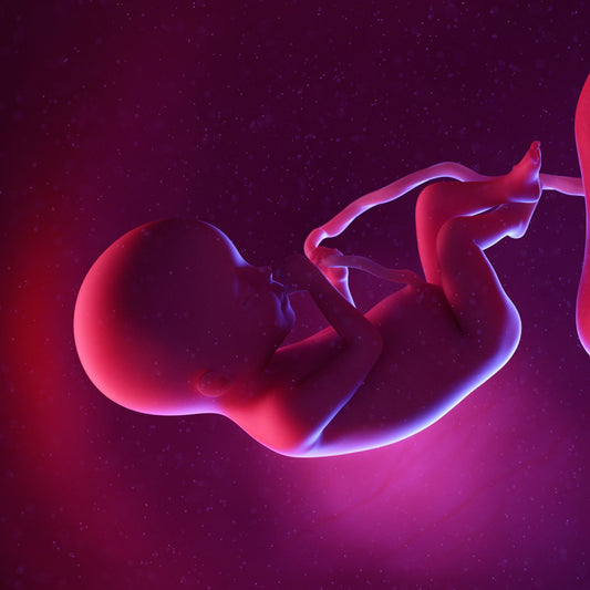 20 Weeks Pregnant
