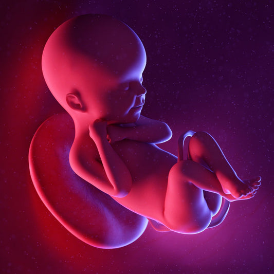 24 Weeks Pregnant