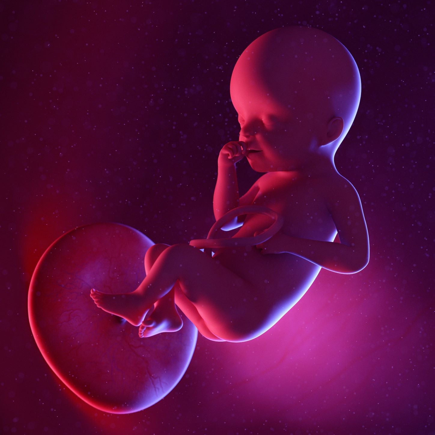 25 Weeks Pregnant