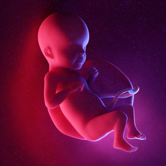 26 Weeks Pregnant