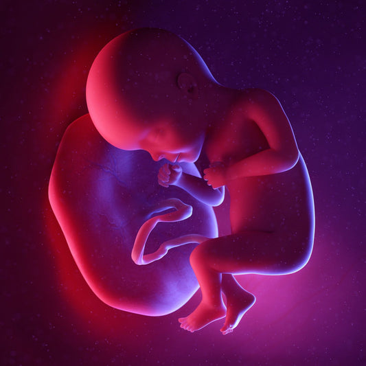 27 Weeks Pregnant