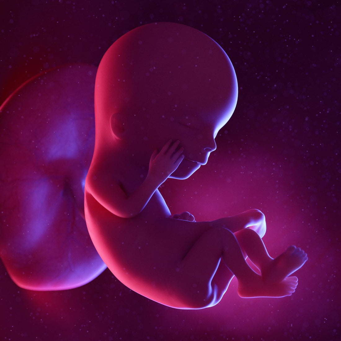 12 Weeks Pregnant