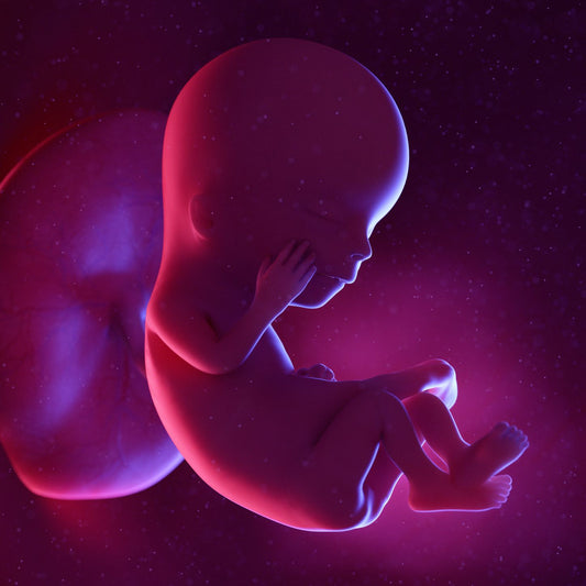12 Weeks Pregnant