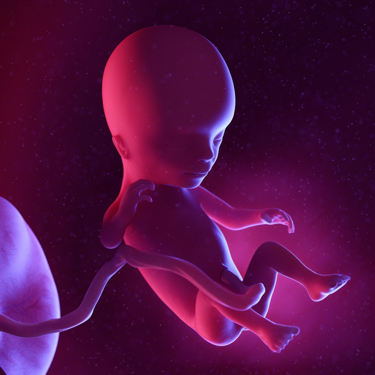 14 Weeks Pregnant