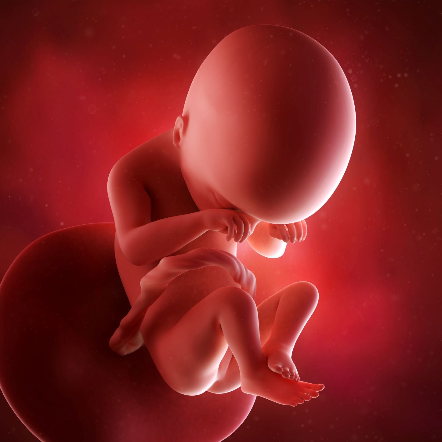 19 Weeks Pregnant