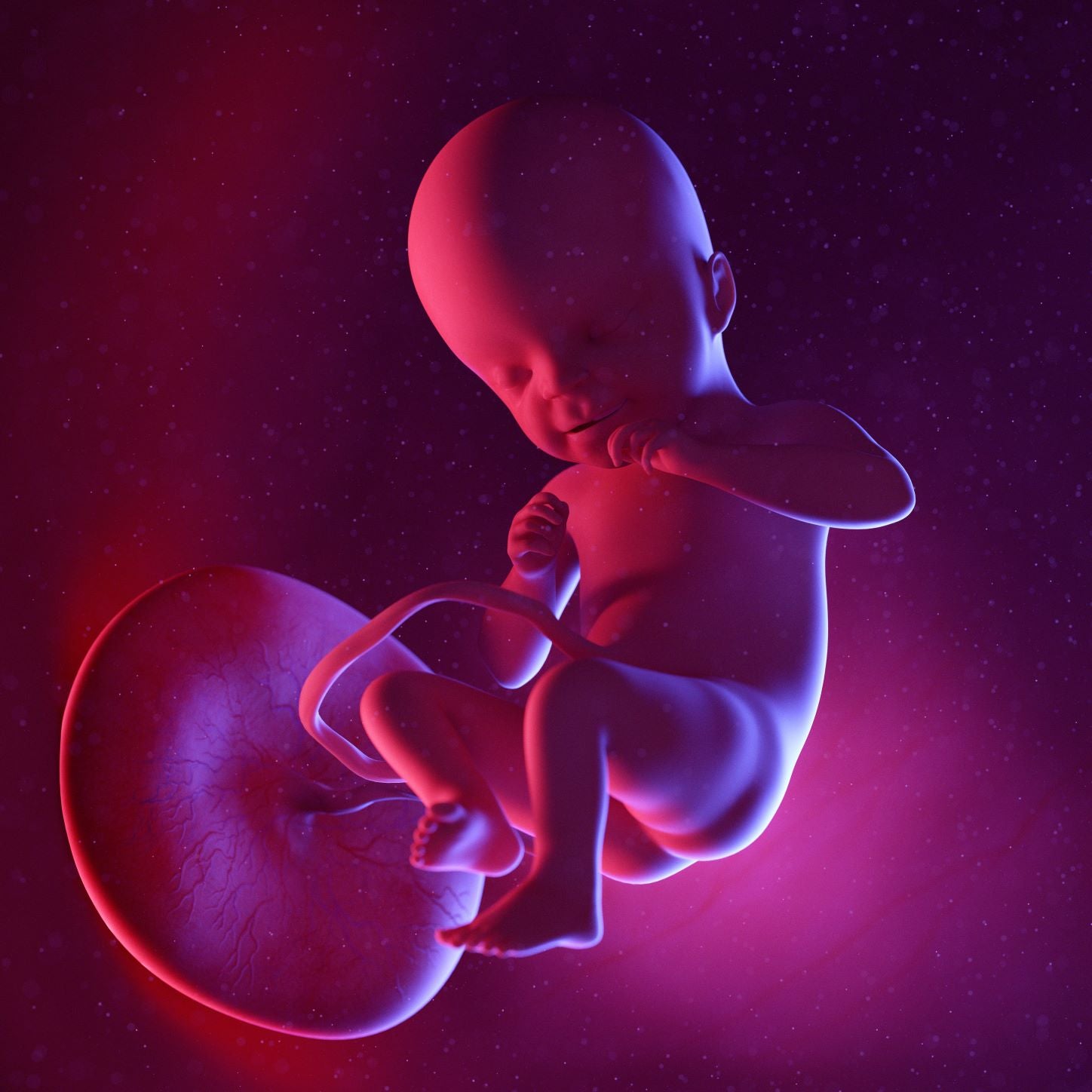 21 Weeks Pregnant