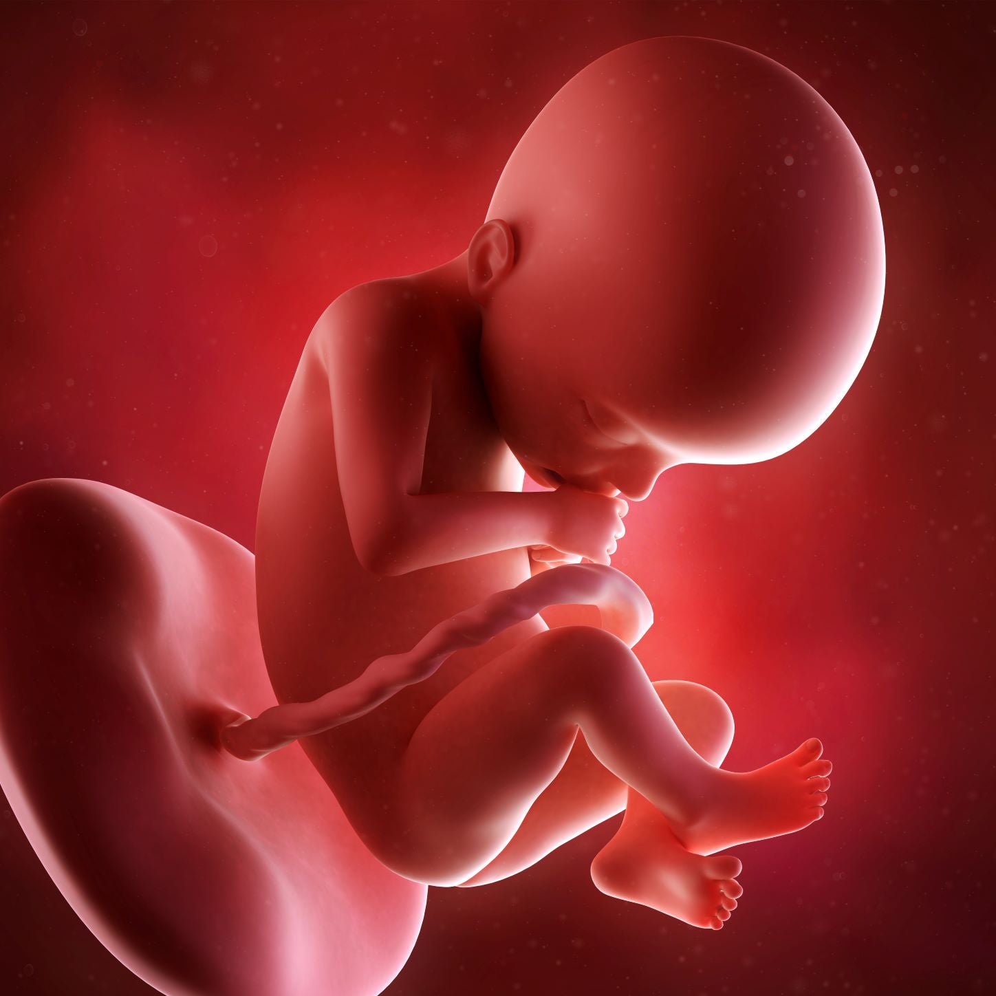22 Weeks Pregnant