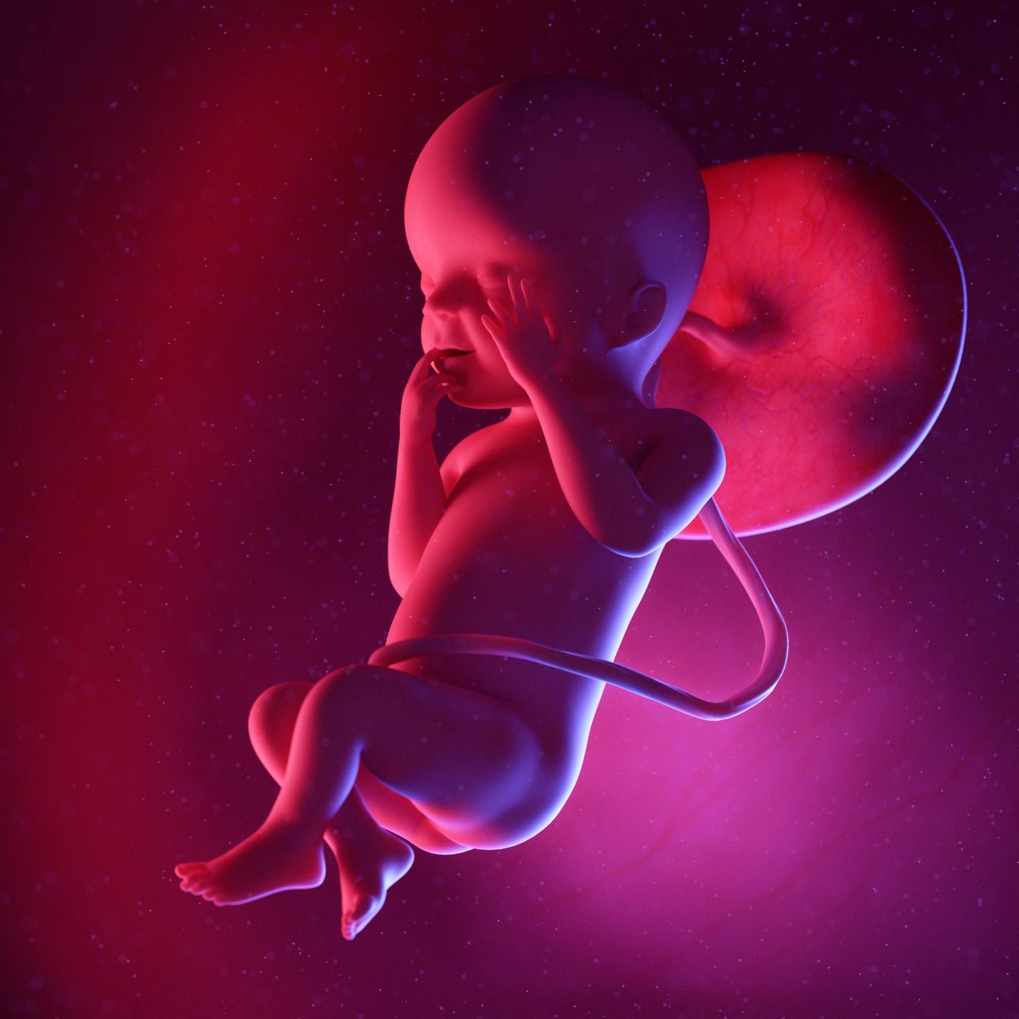23 Weeks Pregnant
