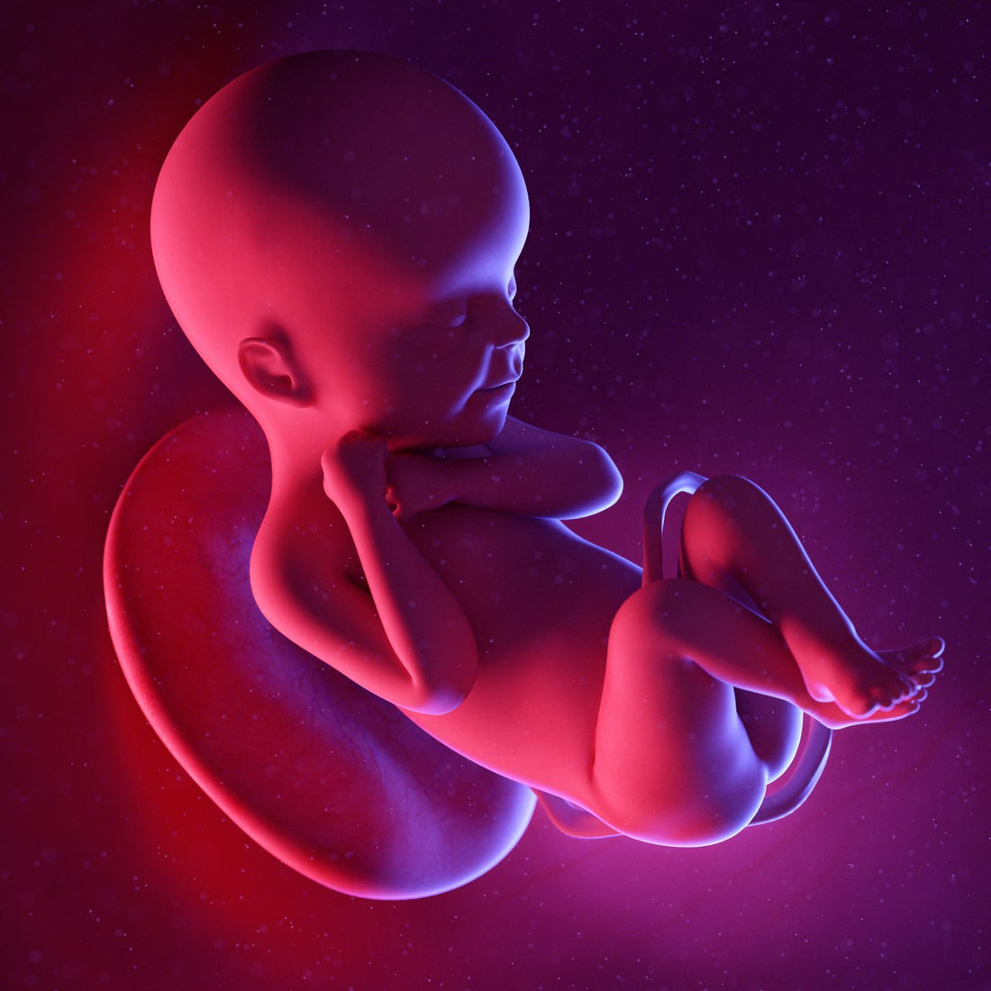 24 Weeks Pregnant