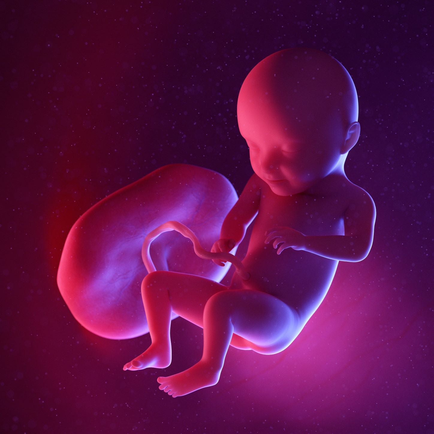 31 Weeks Pregnant