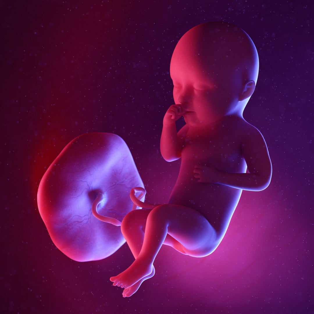 34 Weeks Pregnant