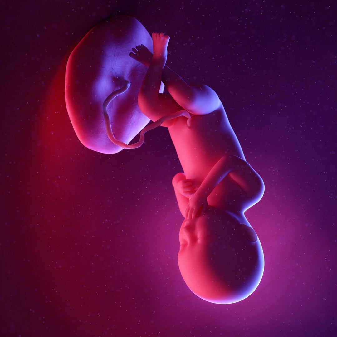36 Weeks Pregnant