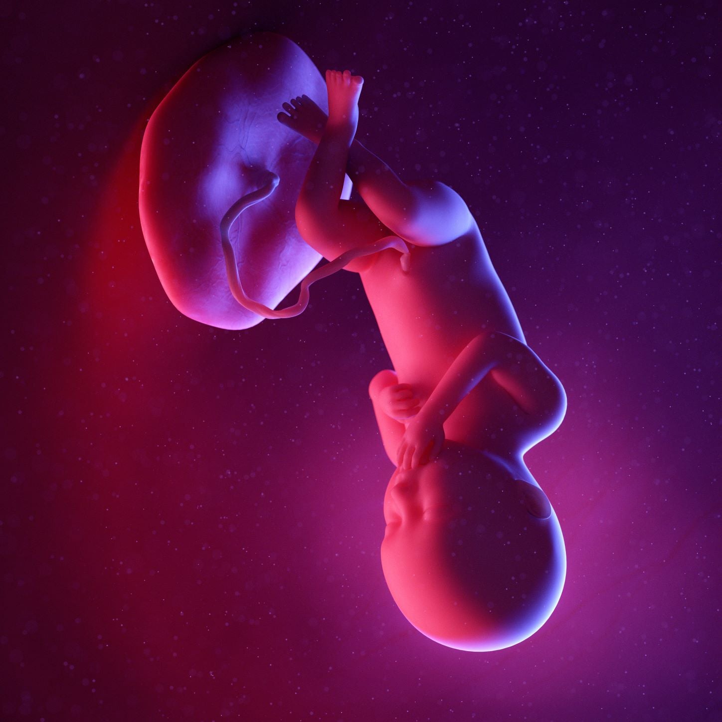 36 Weeks Pregnant