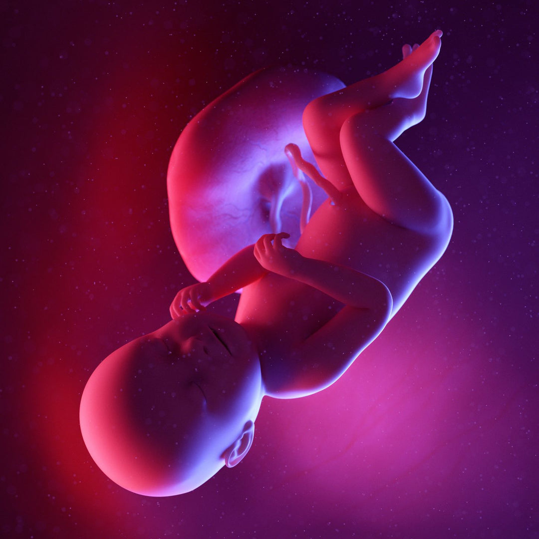 38 Weeks Pregnant