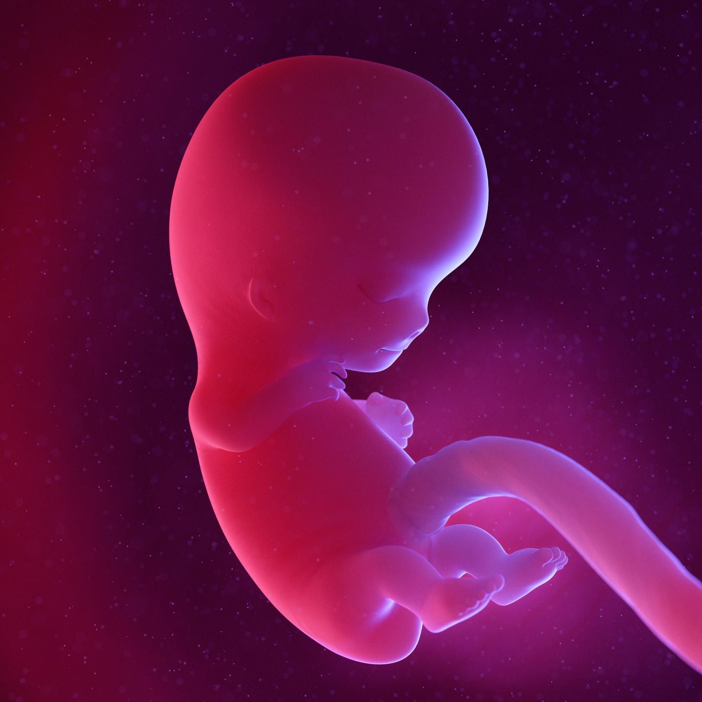 9 Weeks Pregnant